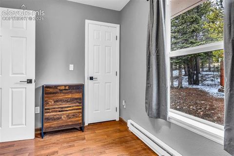 Tiny photo for 386 Prunes Place, Fairplay, CO 80440 (MLS # 7692266)