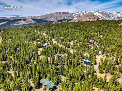 Tiny photo for 386 Prunes Place, Fairplay, CO 80440 (MLS # 7692266)