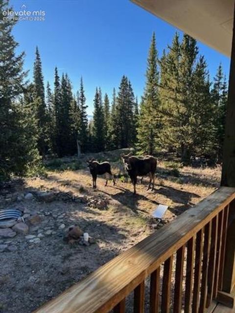 Tiny photo for 386 Prunes Place, Fairplay, CO 80440 (MLS # 7692266)