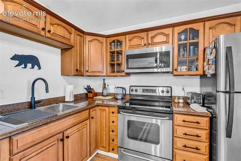 Tiny photo for 386 Prunes Place, Fairplay, CO 80440 (MLS # 7692266)