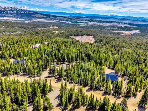 Tiny photo for 386 Prunes Place, Fairplay, CO 80440 (MLS # 7692266)