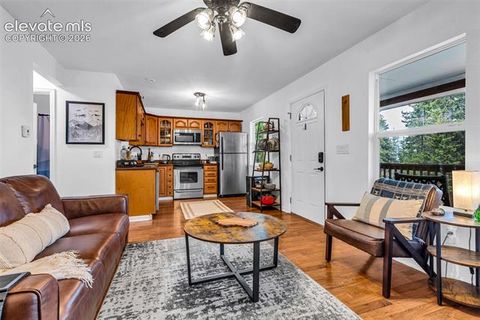 Tiny photo for 386 Prunes Place, Fairplay, CO 80440 (MLS # 7692266)