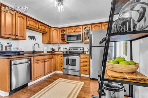 Tiny photo for 386 Prunes Place, Fairplay, CO 80440 (MLS # 7692266)