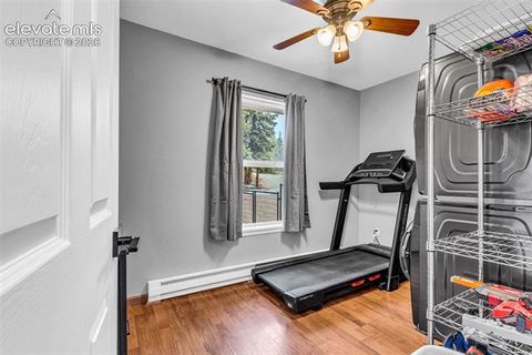 Tiny photo for 386 Prunes Place, Fairplay, CO 80440 (MLS # 7692266)