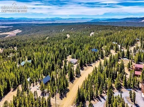 Tiny photo for 386 Prunes Place, Fairplay, CO 80440 (MLS # 7692266)