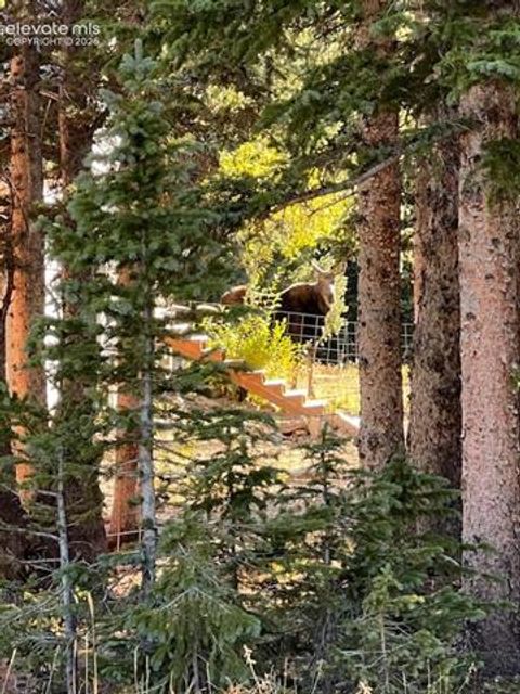 Tiny photo for 386 Prunes Place, Fairplay, CO 80440 (MLS # 7692266)