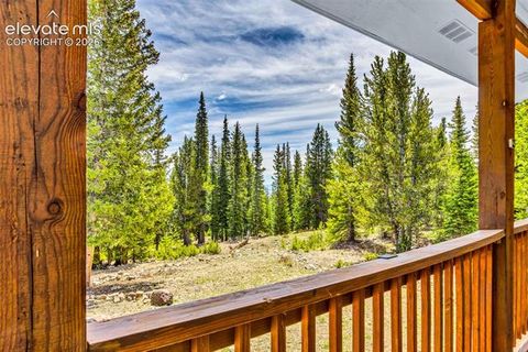 Tiny photo for 386 Prunes Place, Fairplay, CO 80440 (MLS # 7692266)