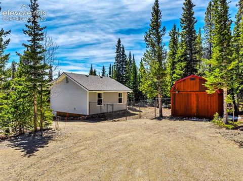 Tiny photo for 386 Prunes Place, Fairplay, CO 80440 (MLS # 7692266)