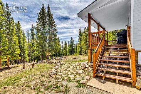 Tiny photo for 386 Prunes Place, Fairplay, CO 80440 (MLS # 7692266)