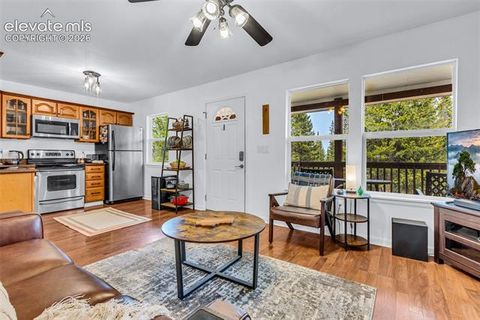 Tiny photo for 386 Prunes Place, Fairplay, CO 80440 (MLS # 7692266)