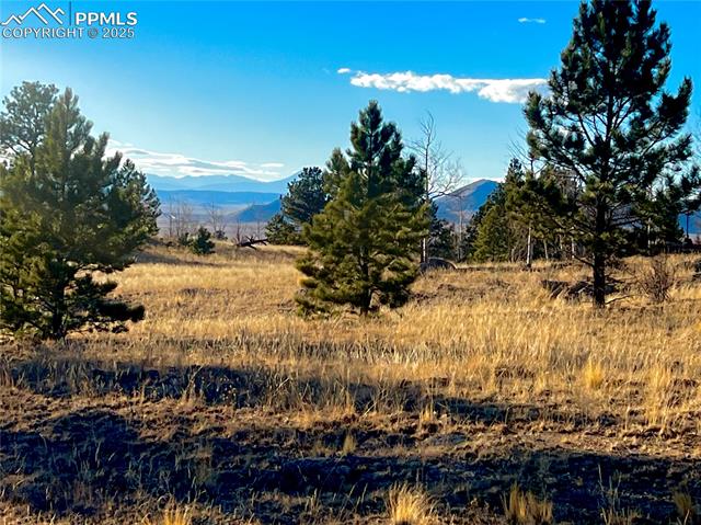 Photo 1 of 15 — 215 Topaz Road, Lake George, CO 80827