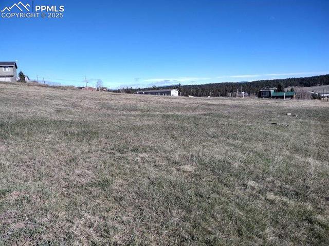 149 Will Scarlet Drive