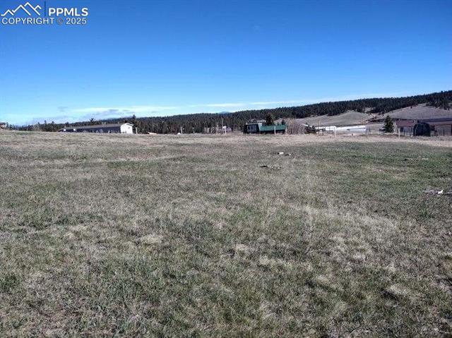 149 Will Scarlet Drive