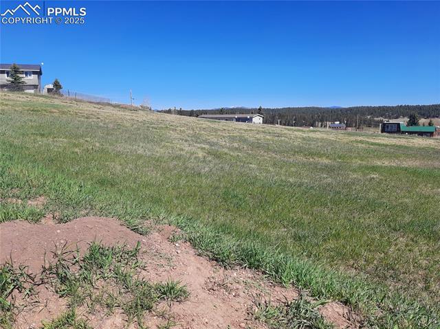 149 Will Scarlet Drive