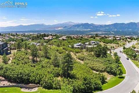 Photo of 1725 Vine Cliff Heights, Colorado Springs, CO 80921 (MLS # 5464460)