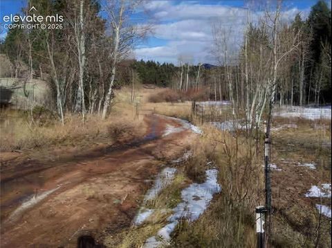 Tiny photo for 2493 County Road 782, Woodland Park, CO 80863 (MLS # 8912835)