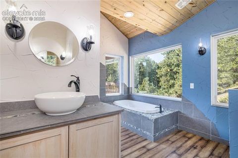 Tiny photo for 2493 County Road 782, Woodland Park, CO 80863 (MLS # 8912835)
