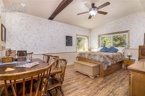 Tiny photo for 2493 County Road 782, Woodland Park, CO 80863 (MLS # 8912835)