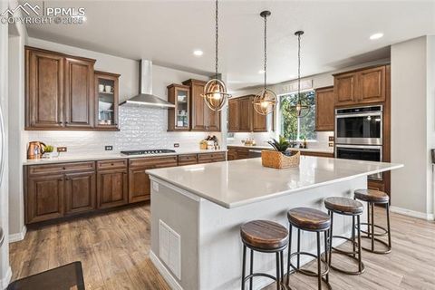 Photo of 16231 Thunder Cat Way, Monument, CO 80132 (MLS # 8943718)