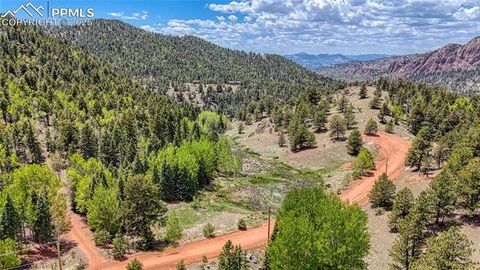 Lot 60 Monarch Drive Cripple Creek CO 80813