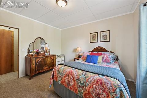 Tiny photo for 32 Iowa Lane, Woodland Park, CO 80863 (MLS # 4472033)