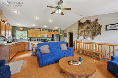 Tiny photo for 32 Iowa Lane, Woodland Park, CO 80863 (MLS # 4472033)