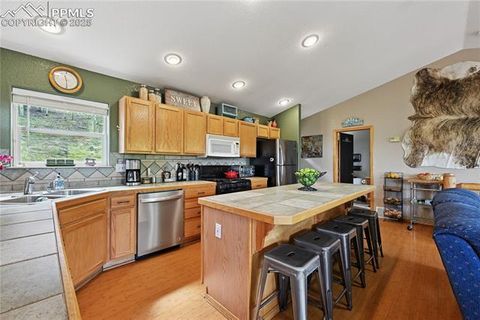 Tiny photo for 32 Iowa Lane, Woodland Park, CO 80863 (MLS # 4472033)