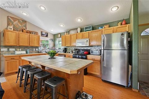 Tiny photo for 32 Iowa Lane, Woodland Park, CO 80863 (MLS # 4472033)