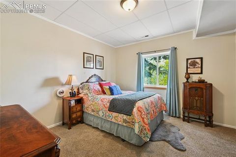 Tiny photo for 32 Iowa Lane, Woodland Park, CO 80863 (MLS # 4472033)