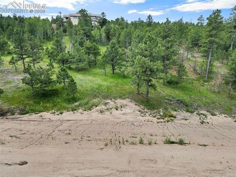 Photo of 14431 Allen Ranch Road, Colorado Springs, CO 80908 (MLS # 4509531)