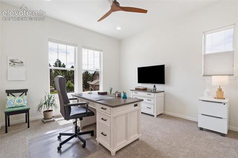 Tiny photo for 968 Tree Bark Terrace, Monument, CO 80132 (MLS # 1304079)