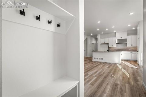 Tiny photo for 9256 Wolf Valley Drive, Colorado Springs, CO 80924 (MLS # 9746584)