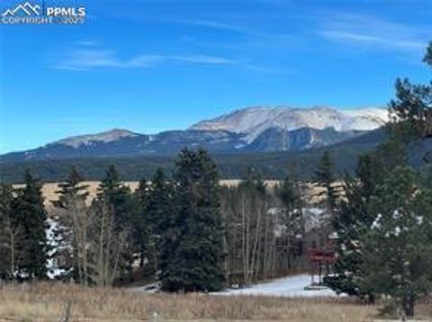 Photo of 106 Stephanie Place, Divide, CO 80814 (MLS # 7280266) Photo of 106 Stephanie Place, Divide, CO 80814 (MLS # 7280266)