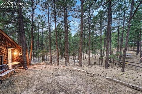 Tiny photo for 1325 Deby Place, Colorado Springs, CO 80921 (MLS # 9038820)