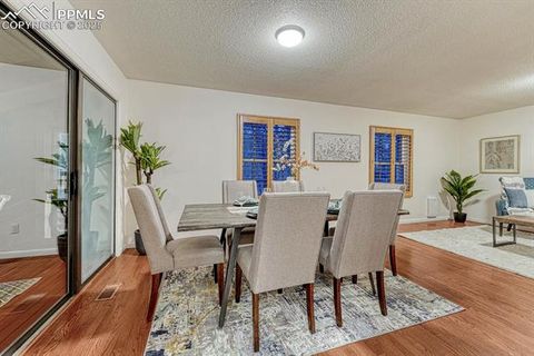 Tiny photo for 1325 Deby Place, Colorado Springs, CO 80921 (MLS # 9038820)