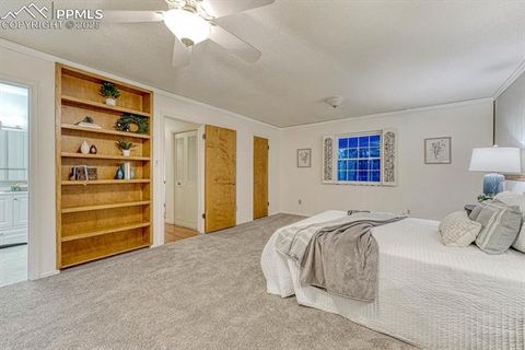 Tiny photo for 1325 Deby Place, Colorado Springs, CO 80921 (MLS # 9038820)