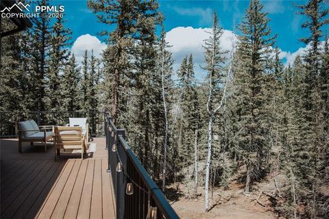 Tiny photo for 7 Westwood Drive, Woodland Park, CO 80863 (MLS # 7662926)