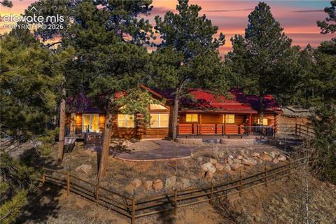 Photo of 1910 Wildhorn Road, Florissant, CO 80816 (MLS # 9357527)