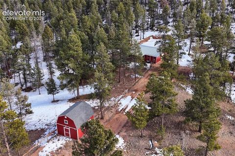Tiny photo for 1910 Wildhorn Road, Florissant, CO 80816 (MLS # 9357527)