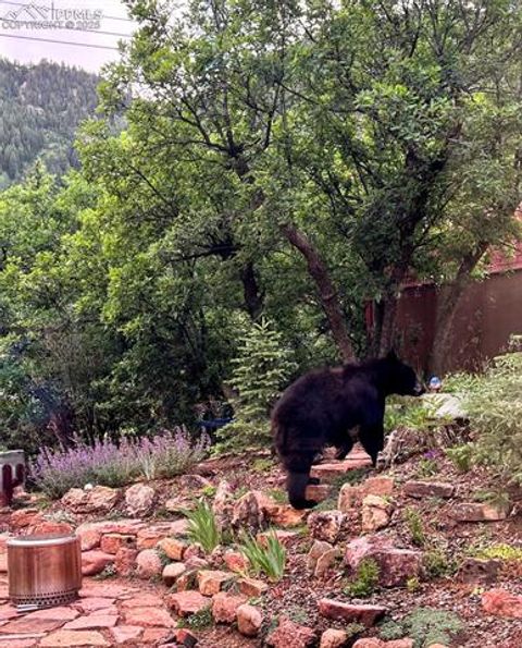 Tiny photo for 6840 Howard Street, Green Mountain Falls, CO 80819 (MLS # 2732808)