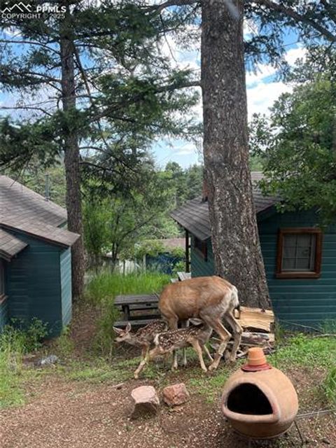 Tiny photo for 6840 Howard Street, Green Mountain Falls, CO 80819 (MLS # 2732808)