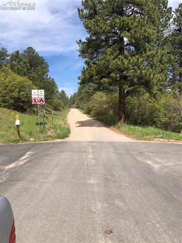 2207 etal Senecio Drive