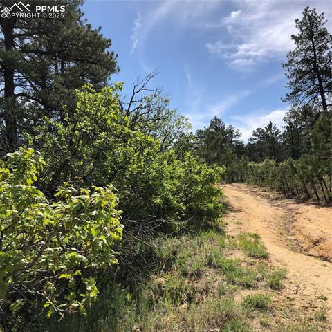 2207 etal Senecio Drive