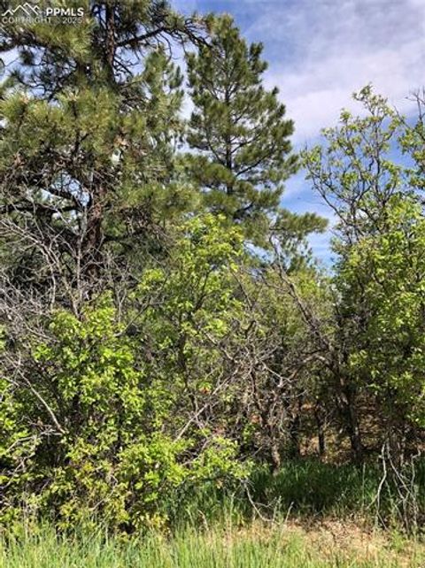 2207 etal Senecio Drive Larkspur CO 80118