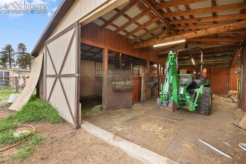 Tiny photo for 13599 County Road 1, Florissant, CO 80816 (MLS # 8586752)