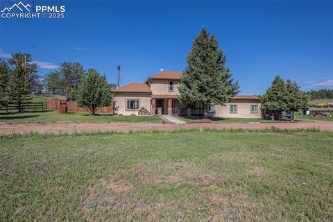 Photo of 13599 County Road 1, Florissant, CO 80816 (MLS # 8586752)