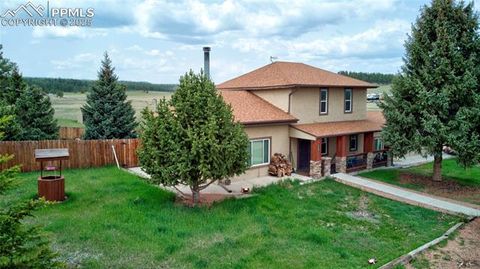 Tiny photo for 13599 County Road 1, Florissant, CO 80816 (MLS # 8586752)