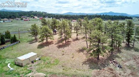 Tiny photo for 13599 County Road 1, Florissant, CO 80816 (MLS # 8586752)