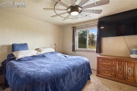 Tiny photo for 13599 County Road 1, Florissant, CO 80816 (MLS # 8586752)