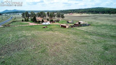 Tiny photo for 13599 County Road 1, Florissant, CO 80816 (MLS # 8586752)